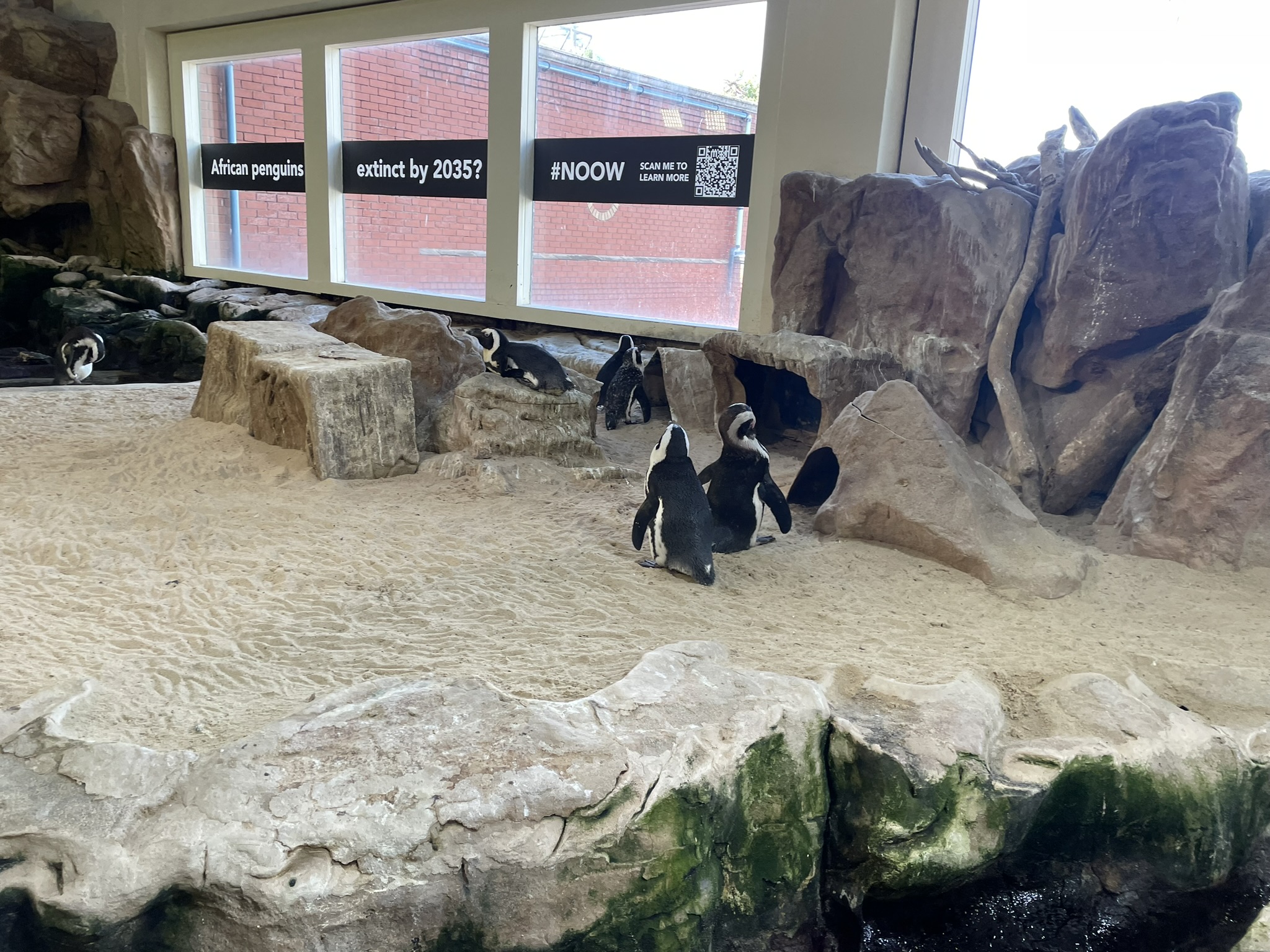 Capetown, South Africa